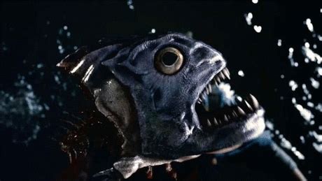 还记得经典电影《食人鱼》吗？如今它也变成“3D”了|食人鱼3DD ...
