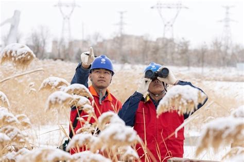 国网甘肃电力营销事业部:积极应对低温雨雪天气