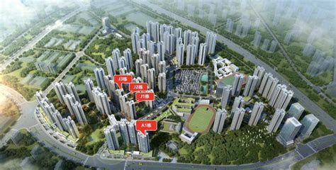 广州增城区新塘镇房价 广州买房注意什么|二手房|买房|房价_新浪新闻