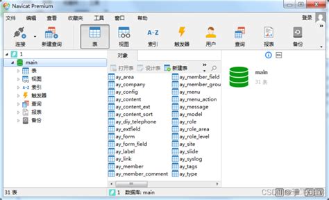 databaseeditor(数据库编辑器) v2021.0.1 绿色版-电脑公司下载站