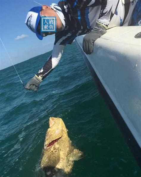 游钓深海大鱼，钓获150斤的巨型石斑鱼，拍照后深海石斑鱼被放生_钓鱼