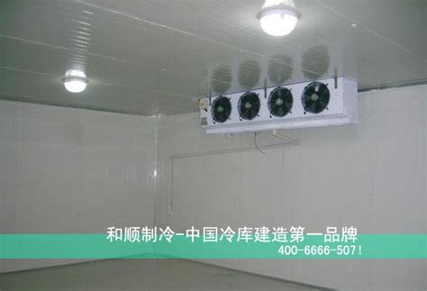 10吨小冷库要多大场地，成本大概多少钱？_上海雪艺制冷科技发展有限公司