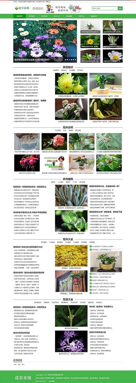 自适应花卉养殖博客空间美文类网站织梦源码-92建站