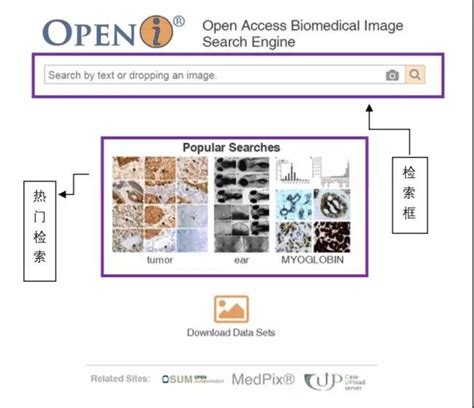 强推 3 个图片检索网站，解锁医学文献检索「二般操作」 | iThenticate/CrossCheck中文网站
