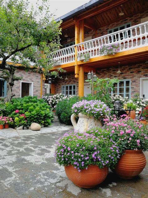 小花园图片