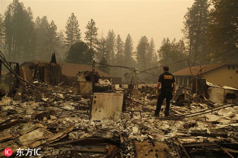 加州山火已致44死超200人失踪 豪宅成废墟恍如世界末日