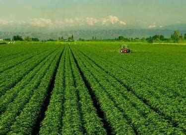 农业生态科技公司起名 好听大气的农业公司名字-福缘殿