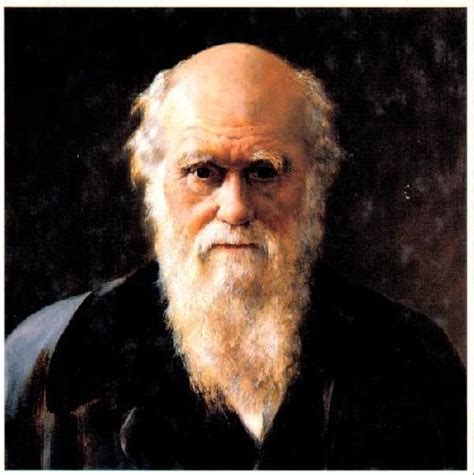 达尔文的进化论会被推翻？史前文明可信度到底有几何？__财经头条