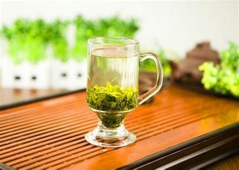 【春城晚报】全国代茶饮植物有759种 这29种高频代茶饮都喝过算你厉害！----中国科学院昆明植物研究所
