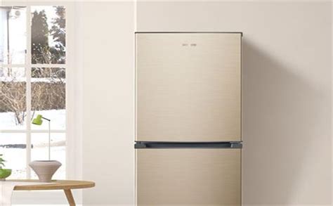 适合中国家庭的冰箱 容声十字对开冰箱评测_天极网