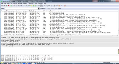 分析IP协议数据包格式_林洋洋博客-CSDN博客_ip协议格式分析