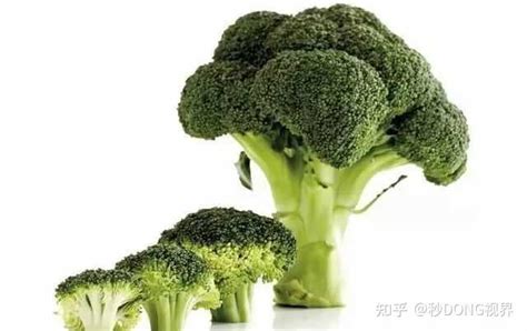 食物软硬和孩子视力发展有关系！预防近视，多给孩子吃这些！|视力|食物|发育_新浪新闻