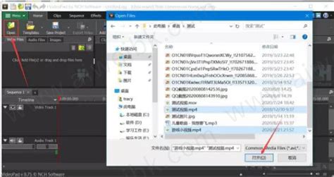 VideoPad Video Editor10.75正式版_VideoPad Video Editor下载-PC9软件园