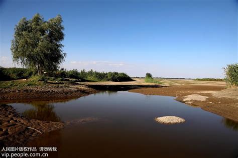 新疆五家渠持续高温致青格达湖湿地严重缺水【2】--图片频道--人民网
