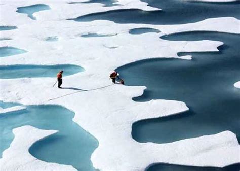随着“全球变暖”的加剧，到2050年两极地区的冰川会不会都融化？|冰川|全球变暖|两极_新浪新闻