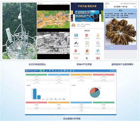 重庆石柱“平安乡村 智能农家”防控系统 －中国安防行业网