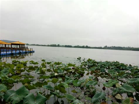 2020后官湖湿地公园-旅游攻略-门票-地址-问答-游记点评，武汉旅游旅游景点推荐-去哪儿攻略