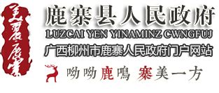 杭州基金网站建设方案模板下载_杭州_图客巴巴