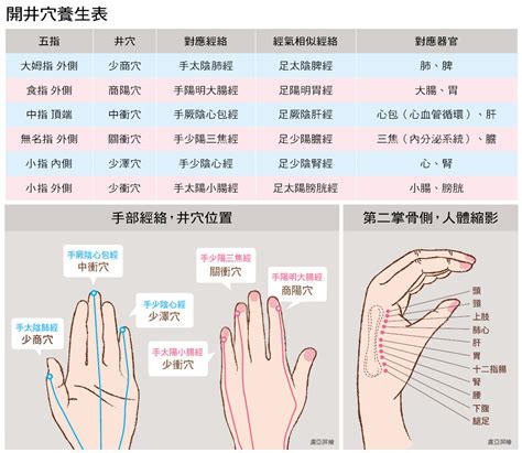 手掌经络图解大全图片 手掌经络图解大全图片