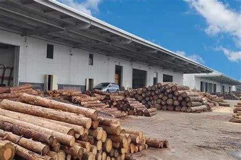 总投资额约106亿元 广西闽桂木业生态产业城已有28家企业入驻-木业网