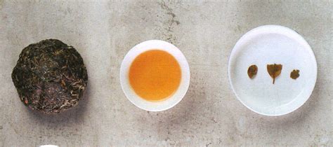 金瓜贡茶-中国茶品鉴-图片
