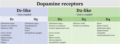 Dopamine Injection Uses, Dosage, Route, Action & Side Effect
