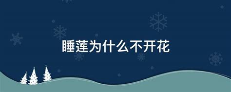 四月雪高清图片下载_红动中国