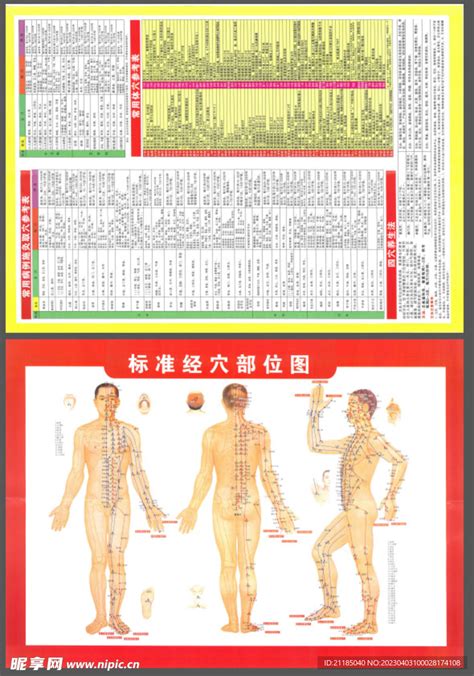 皮特埃勒斯 的图像结果
