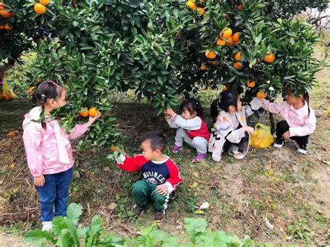 中国柑橘博览园，位于浙江省台州市黄岩区头陀镇断江村一带