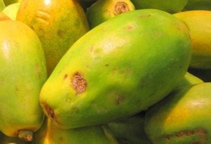 吃木瓜有什么好处 - 木瓜的营养价值 - 吃木瓜的7大禁忌 - 知乎