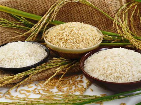 辽宁长耕米业，有机大米进入武汉市场