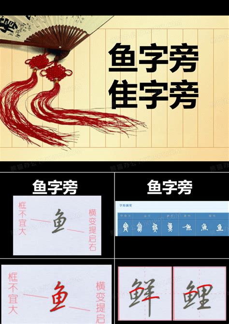 《鱼》的笔顺_演示鱼的笔顺及鱼字的笔画顺序 - 汉字笔顺 - 汉字笔顺网