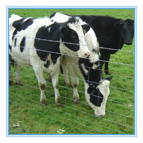 尼比鲁全球进口货源-英国牛栏Cow&Gate 经典1段 800g