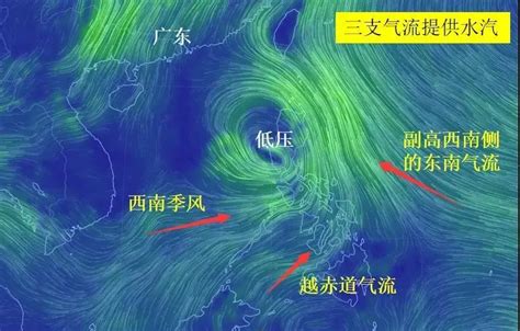 今年首个登陆台风“鹦鹉”周末来袭 为何台风偏爱周末“打卡”？ - 知乎