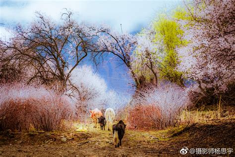 桃源仙境图片