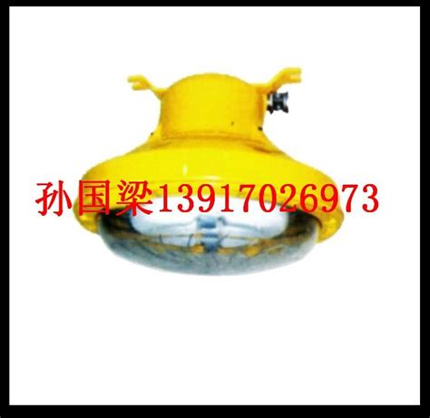 BAD603防爆固态安全照明灯 - 代鸿照明 (中国 上海市 生产商) - 专门用途灯具 - 照明 产品 「自助贸易」