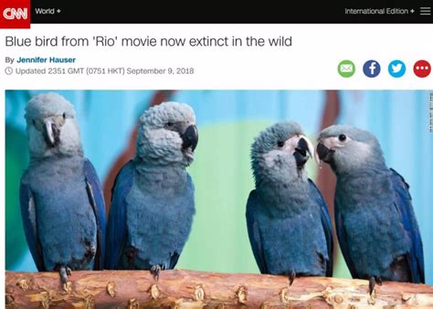 天呐……动画片里的这只小蓝鸟，灭绝了！