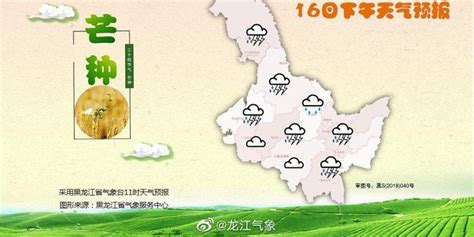 “雨水”却降雪！黑龙江气象发布今年雨水节气天气提示 - 黑龙江网