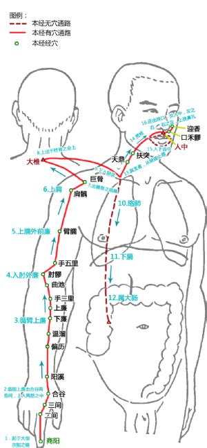 商阳的准确位置图图片 商阳的准确位置图图片