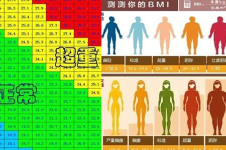 BMI Chart for Women by Age Details - Weight Loss Surgery