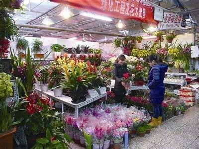 新疆乌鲁木齐：花卉市场销售忙-人民图片网
