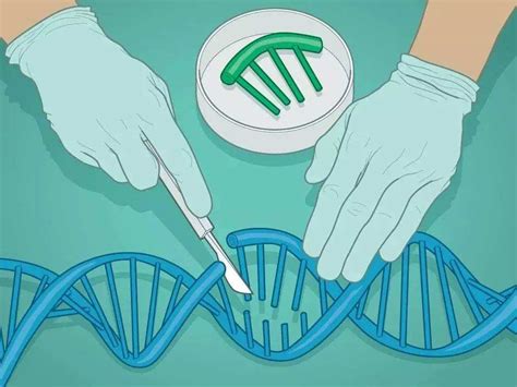 美国即将开启首个CRISPR人体试验，梦想照进现实 – SEQ.CN