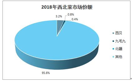 西北菜市场分析报告_2021-2027年中国西北菜市场前景研究与市场前景预测报告_中国产业研究报告网