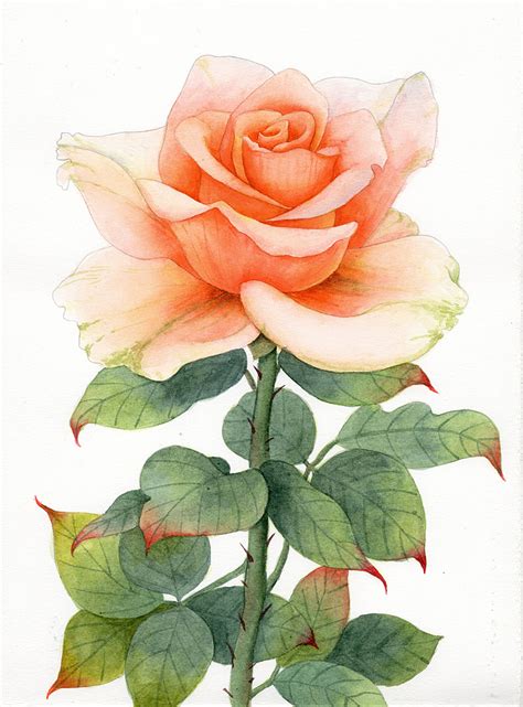 蜡笔画玫瑰图片
