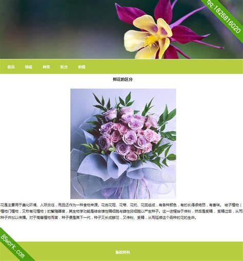 花卉网站seo优化(花卉网页设计html) - 杂七乱八 - 源码村资源网