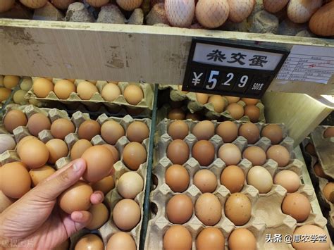 2022年鸡蛋价格多少钱一斤？ - 惠农网