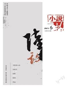 小说林 2023年第6期-龙源期刊网