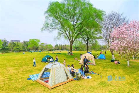 与春天相约，宿迁市民开启“花式”春游|帐篷|宿迁市_新浪新闻