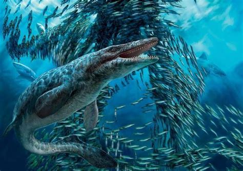 4亿年前的海洋中曾经生活过哪些鱼类