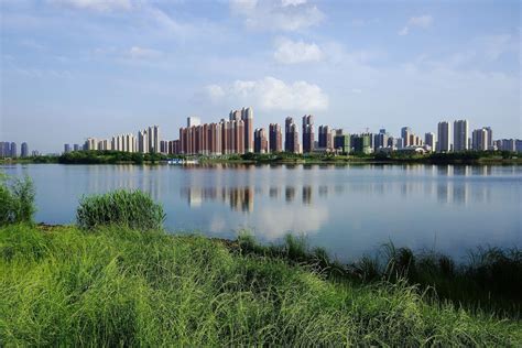 武汉面积最大湖泊,是亚洲最大城中湖,面积超东湖,无名气|湖泊|城中湖|武汉_新浪新闻